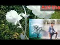 Tum Rutha Na Karo Meri Jaa Meri Jaan Nikal Jati Hai Best WhatsApp Status