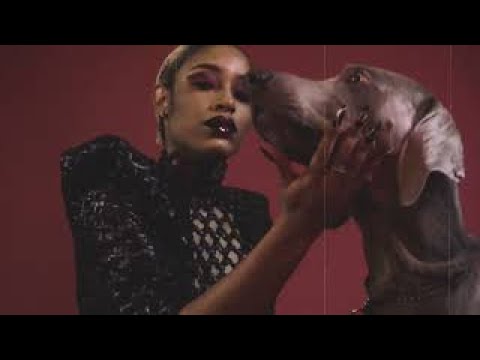 70SHIINE -  CHIEN ( clip officiel )