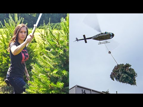 CHRISTMAS TREE | How Does it Grow?