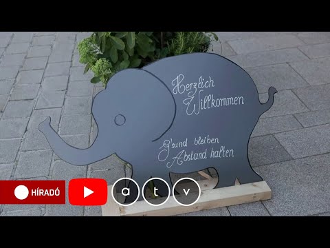 mit kezeljen a beteg férfiakkal