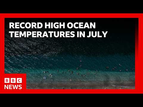 World's oceans hit record-high July temperatures, EU's climate monitoring service says | BBC News