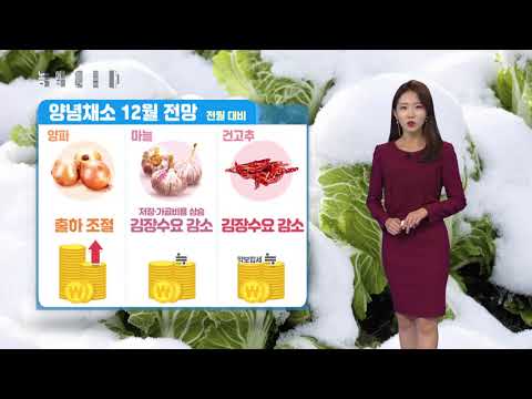 YTN 농업전망대(엽근채소·양념채소 관측 12월) (2019.12.14) 이미지