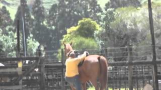 preview picture of video 'Peria calf roping 7-10-12.'