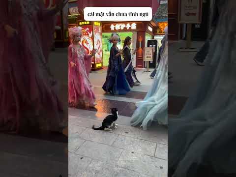 Có biết người ta đang ngủ ngon không hả?