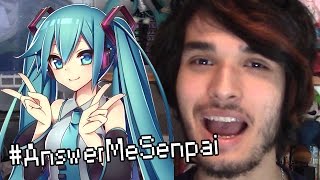 IF MY ANIME FIGURINES COULD TALK...!? #AnswerMeSenpai