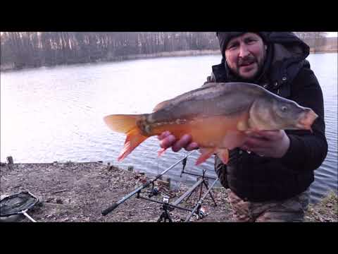 Carp fishing in spring / are they hungry yet?
