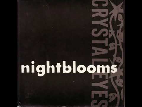 The Nightblooms - Never Dream At All