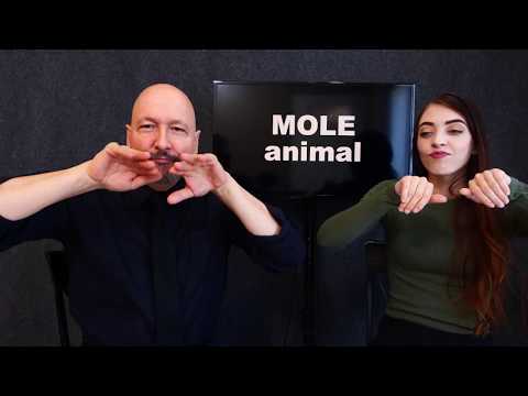 001 ASL American Sign Language Vocabulary Expansion Series Dr Bill Rach 2019 08 02 a