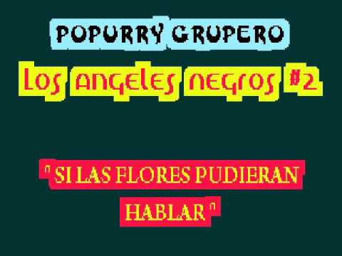 POPURRY   Los Angeles Negros #2 avi