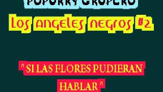 Video thumbnail of "POPURRY   Los Angeles Negros #2 avi"