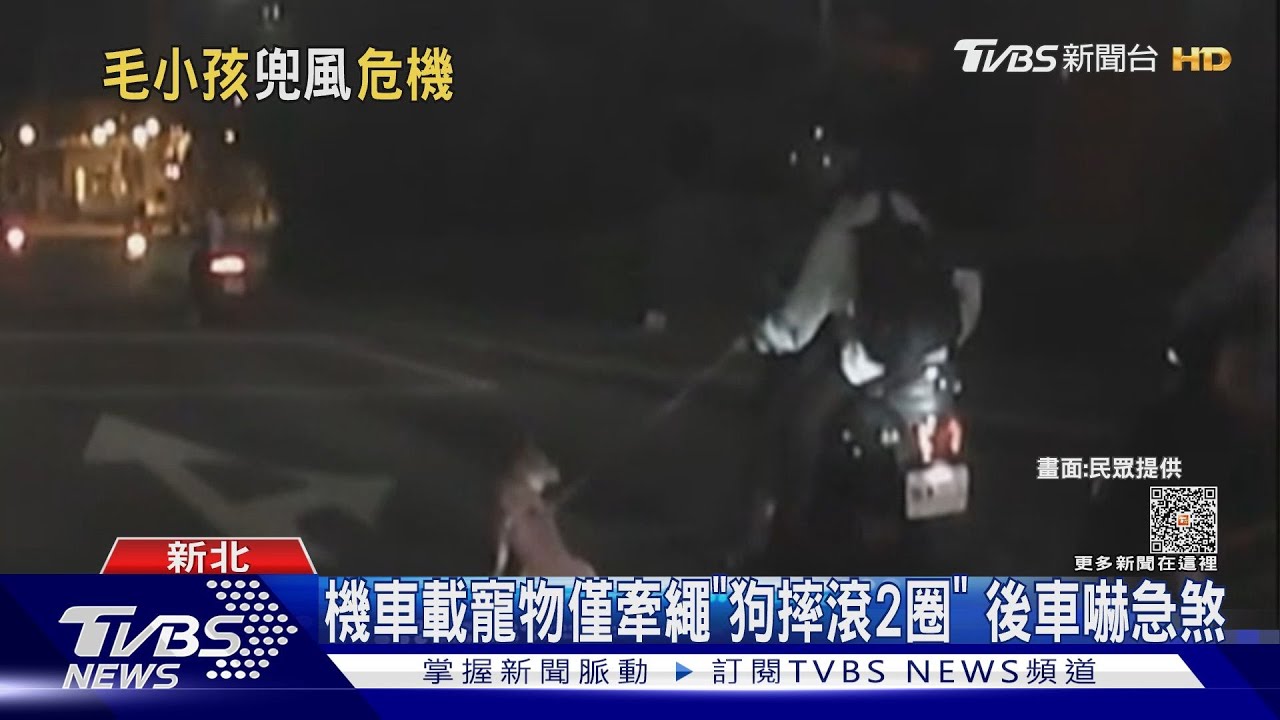 機車載寵物僅牽繩「狗摔滾2圈」　後車嚇急煞