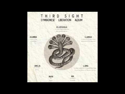 Third Sight & D-styles (Symbionese Liberation) - 1. Hypothermia