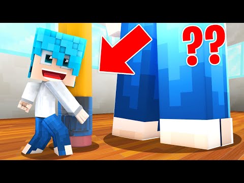 LOKKINO GIOCA a NASCONDINO da PICCOLISSIMI!! Minecraft ITA Roleplay