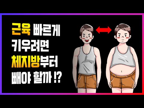 체지방 0% 달성! 뱃살 빼는 비결은?