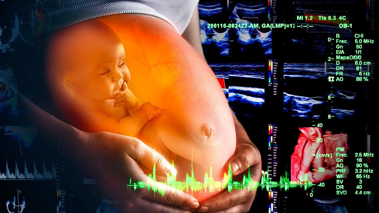 O que a GRAVIDEZ faz no corpo?