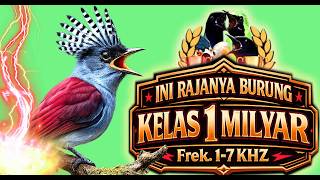 Download lagu 🔥 RAHASIA BURUNG JUARA!  Ini Dia Masteran Full Isian Mewah 1-7 KHz, Masteran Tembus Kontes! 🏆🐦 mp3
