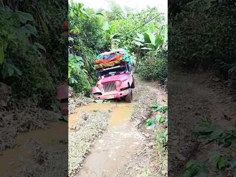 “Talento campesino desde Argelia Valle para el mundo 🌍🔥”