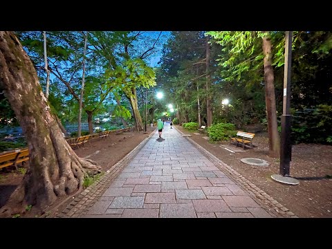 Suburban West Tokyo, Evening Walk in Mitaka, Japan • 4K HDR