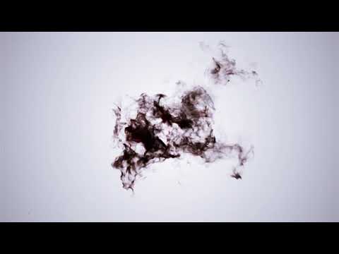 UMN_TV  1LV_(21/22) Gogo i Toni - Adriatic osiguranje (Sažetak)