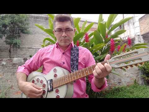 Súplica dos Ecólogos. Zé da Viola Repentista.