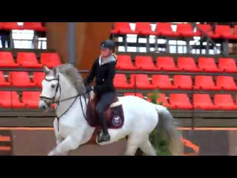 Stage auprès des jeunes cavaliers CSO de la FFE / (2/2) | Méthode Alexander