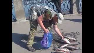 Рыбалка на волге в самаре с берега
