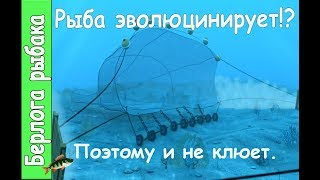 Ставное рыболовное орудие типа ловушки