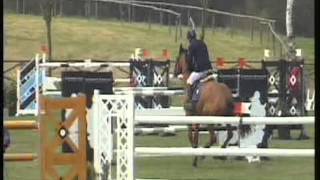 Video of Gigi van het Daalhof