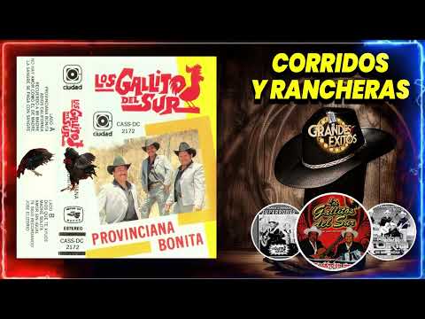 Gallitos del sur (Los Gallitos del Sur) - 30 Sus Mejores Canciones Corridos y Rancheras (Vol 3)