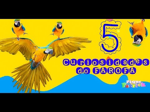 Pique Surpresa - 5 Curiosidades do FAROFA