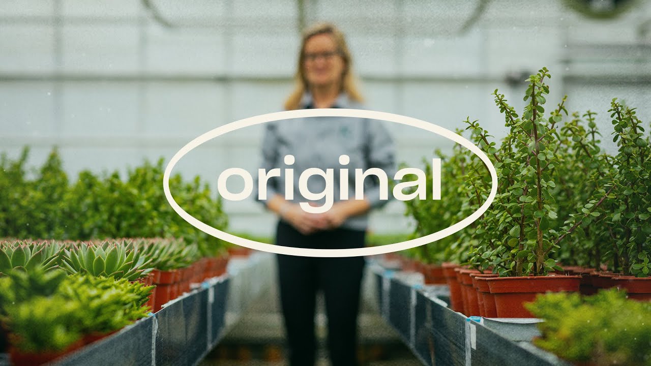 Video preview poster