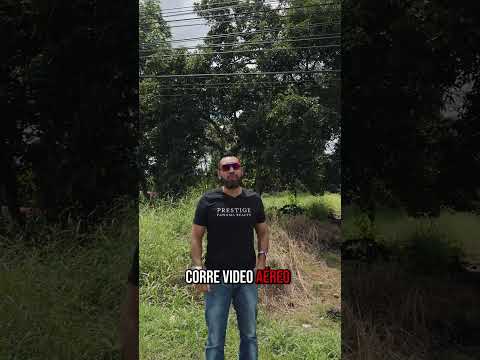 Alquiler o venta de LOTE comercial sobre la PANAMERICANA en Boquerón. Chiriqui. 6981.5000