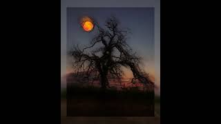 Cover art for This Town (Sped Up)