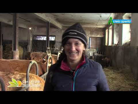 Puntata del 17/1/21 –  3° parte – Quattro Province e razza ottonese