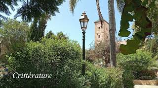 محمد معتصم | القصد في الفعل والقول