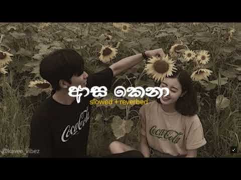 SAMADA MANG OBE SLOVED AND REVERB 1120 1