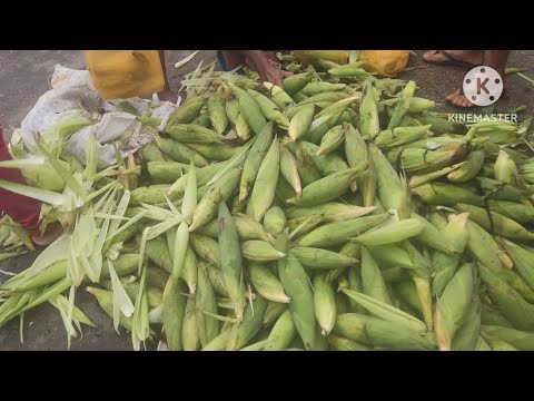 A feira mais movimentada do agreste sertão de Alagoas: Folha Miúda, Craíbas