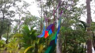 Bright n Breezy - Happy Leaves