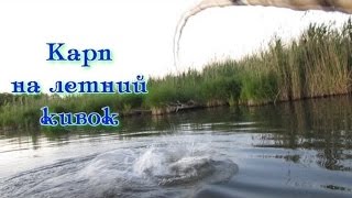 Ловля карпа летом на кивок