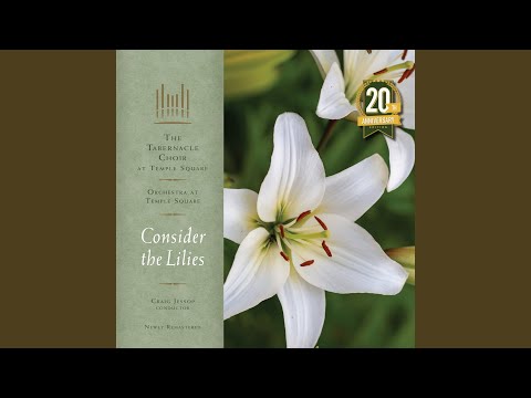 Consider the Lilies (Remastered 2023)