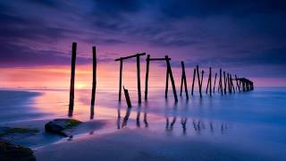 Comfort - Shore Leave