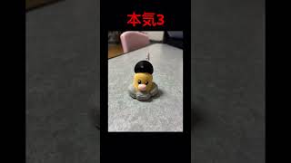 もう、これで終わってもいい位本気