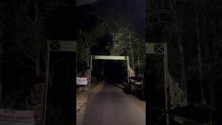 Download lagu Seram mendaki gunung malam hari #dayinmylifegusindra80 #trending #gunung #mendakigunung mp3 Download lagu Seram mendaki gunung malam hari #dayinmylifegusindra80 #trending #gunung #mendakigunung mp3