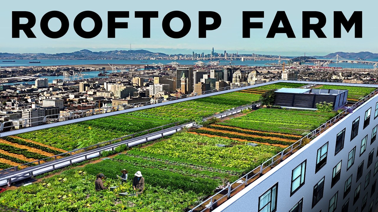 How this Rooftop Grew 20,000 lbs of Food
