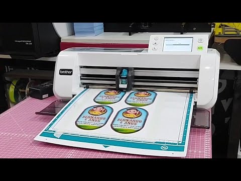 MELHOR PLOTTER DE RECORTE PARA INICIANTES (NÃO PRECISA DE COMPUTADOR😱)