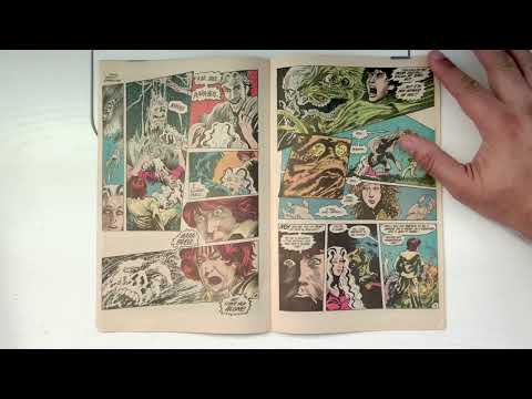 The Saga of the Swamp Thing 27 by Alan Moore Stephen Bissette and John Totleben