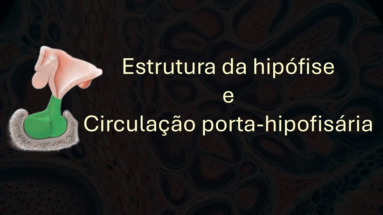 Hipófise e circulação porta-hipofisária