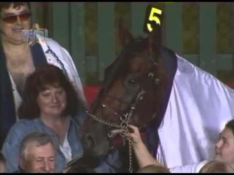 Rocknroll Hanover Tribute