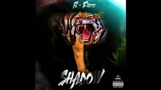 B-Free - Shadow (Árnyék) [HUNSUB]