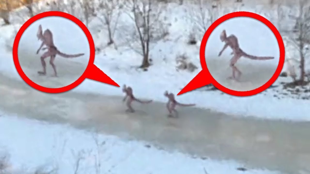 Drone Captures What No One Was Supposed to See